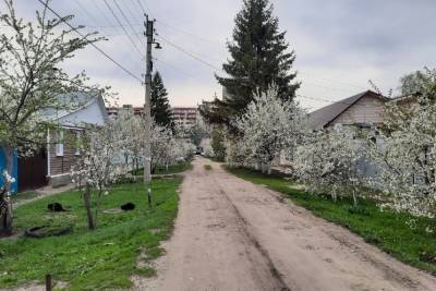 В Тамбовской области подключение домов к газу станет бесплатным