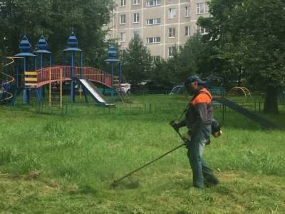 В городском округе Чехов окос травы во дворах можно заказать по телефону
