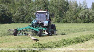 ФОТОФАКТ: Все районы Витебской области приступили к заготовке кормов