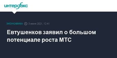 Евтушенков заявил о большом потенциале роста МТС