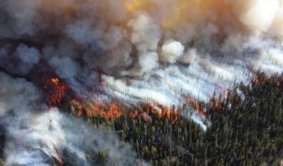 Площадь лесных пожаров в Красноярском крае за сутки выросла в 10 раз