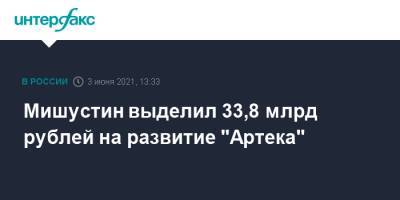 Мишустин выделил 33,8 млрд рублей на развитие "Артека"