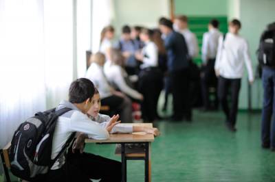 В России проверили безопасность школ после трагедии в Казани