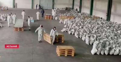 В Испании изъяли 862 кг кокаина, замаскированного под уголь