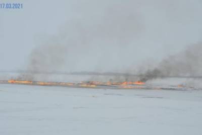 Росприроднадзор оценил ущерб от аварии на трубопроводе «СибурТюменьГаза» в ₽284 млн