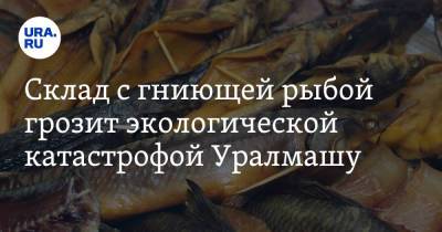 Склад с гниющей рыбой грозит экологической катастрофой Уралмашу. Видео