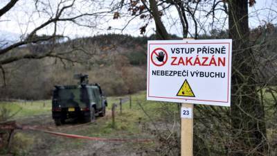 В МИДе оценили заявления Чехии о компенсации за взрывы во Врбетице