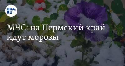 МЧС: на Пермский край идут морозы