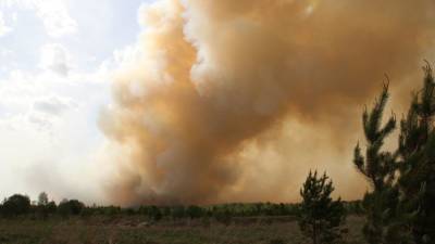 Предполагаемый виновник лесного пожара в Якутии задержан