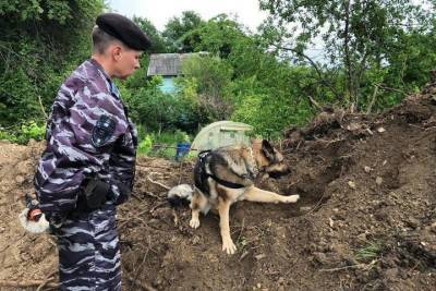 Полицейские обнаружили в Новороссийске останки солдат и боеприпасы времён ВОВ