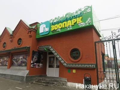 Зоопарк Екатеринбурга открывает пункт вакцинации от COVID-19