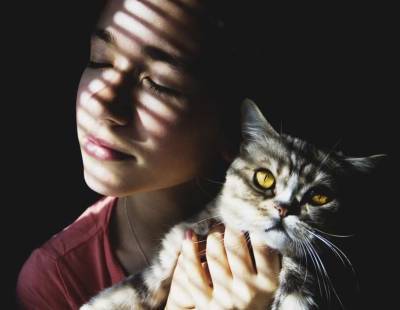 Ученые: Взаимоотношения между человеком и кошкой развиваются по пяти сценариям