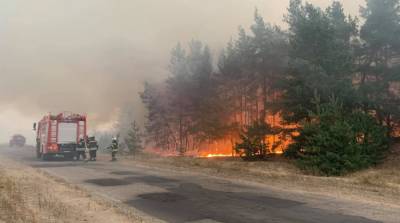 Пожары на Луганщине: ВР предлагает уволить главу области