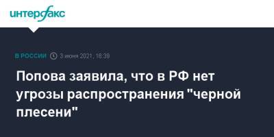 Попова заявила, что в РФ нет угрозы распространения "черной плесени"