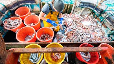 ЕС и Великобритания договорились о рыбной ловле на фоне спора в Ла-Манше