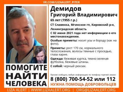 В Кировском районе без вести пропал 65-летний мужчина