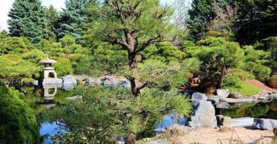 Дворик с веянием Дальнего Востока: как создать сад в японском стиле