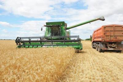 Минсельхоз раскрыл предварительные прогнозы по урожаю зерна в 2021 году