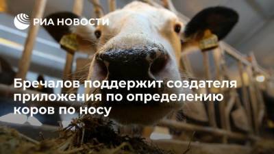 Бречалов поддержит создателя приложения по определению коров по носу