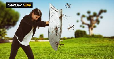 Как спастись от комаров: 10 эффективных средств от укусов