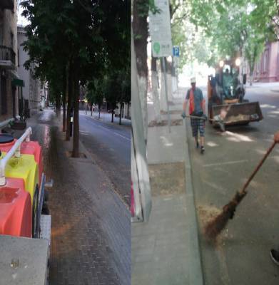В Воронеже на центральной улице вандалы повредили каштаны
