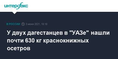 У двух дагестанцев в "УАЗе" нашли почти 630 кг краснокнижных осетров