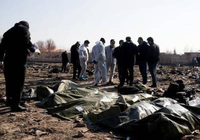 Родные жертв сбитого МАУ в Тегеране выдвинули свои требования