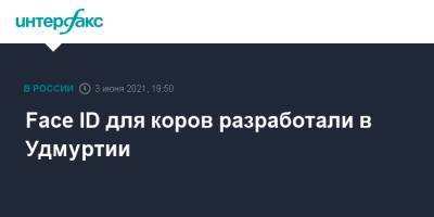 Face ID для коров разработали в Удмуртии