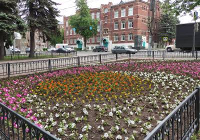 Площадь цветников в Сормове увеличили втрое к 800-летию города