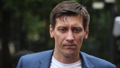 Политика Гудкова освободили после задержания в Москве