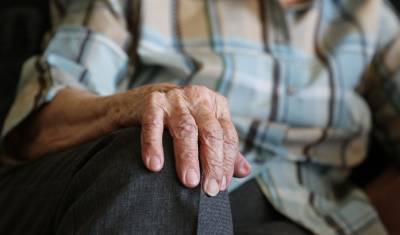 В Совфеде прокомментировали предложение лишать коллекторов пенсии