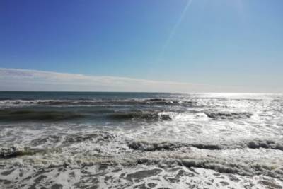 Азовское море прогрелось до +20°: отдыхающие открыли купальный сезон