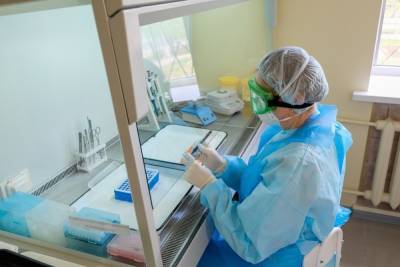 Уровень положительных тестов на антитела в мае достиг в Волгограде 63%