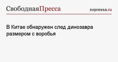 В Китае обнаружен след динозавра размером с воробья - svpressa.ru - Китай - провинция Сычуань