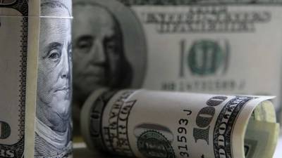 В хозяйстве пригодится: доллар останется в российских валютных резервах