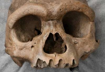 В Китае нашли череп неизвестного науке древнего "человека-дракона"