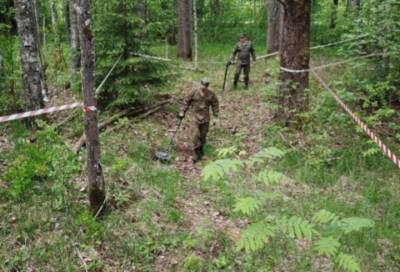 Военные саперы очистили местность в районе "линии Маннергейма" в Ленобласти