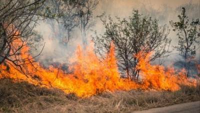 В Якутии бушуют лесные пожары на площади 100 тысяч гектаров
