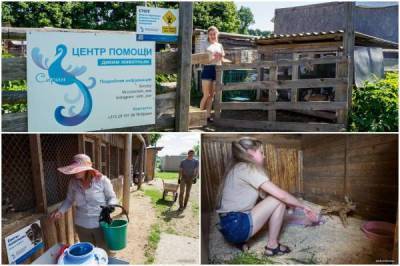 Проблемы с арендой: единственный в Беларуси центр помощи диким животным может закрыться