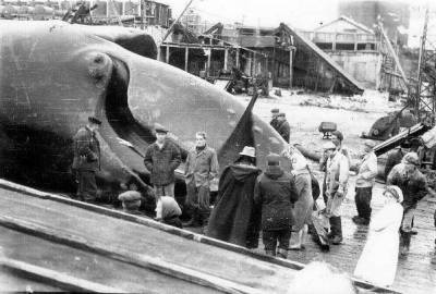 Волна-убийца в Северо-Курильске: какая трагедия случилась в 1952 году