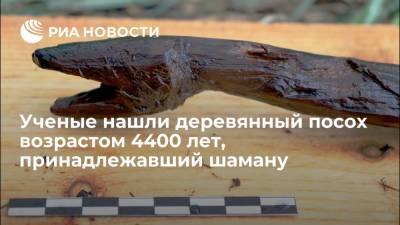 Ученые нашли деревянный посох возрастом 4400 лет, принадлежавший шаману
