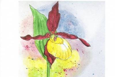 Лучший доклад об орхидеях выбрали в Серпухове