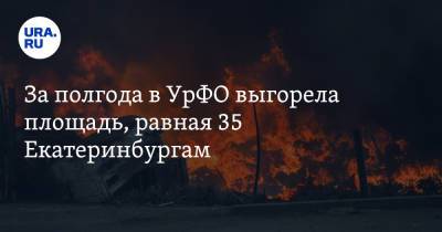 За полгода в УрФО выгорела площадь, равная 35 Екатеринбургам
