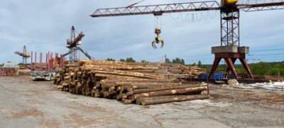 Льготные кредиты обещают проектам в лесопереработке и обработке блочного камня в Карелии