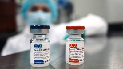 Парагвай получил очередную партию вакцины "Спутник V"
