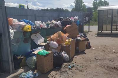 Любимов поручил строго контролировать своевременный вывоз мусора в регионе