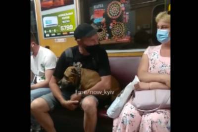 В вагоне киевского метро заметили пассажира с бойцовским псом без намордника