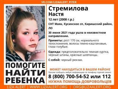 В Киришском районе без вести пропала 12-летняя девочка