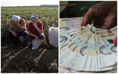 Украинцев готовятся обложить налогами за огороды, что задумали в Раде: "Должны будете уплатить..."