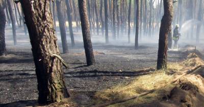В четырех регионах Украины — чрезвычайная пожарная опасность